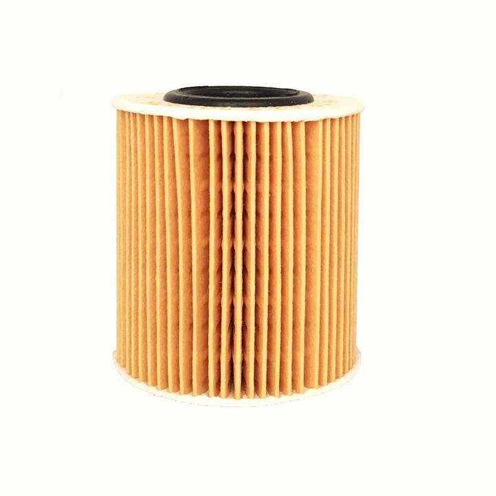 فیلتر روغن موتور بی ام دبلیو مدل N46 BMW N46 Engine Oil Filter